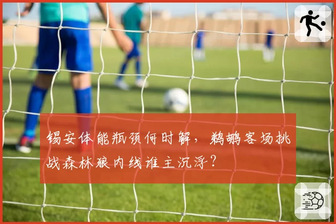 锡安体能瓶颈何时解，鹈鹕客场挑战森林狼内线谁主沉浮？