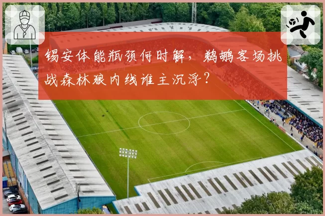 锡安体能瓶颈何时解，鹈鹕客场挑战森林狼内线谁主沉浮？